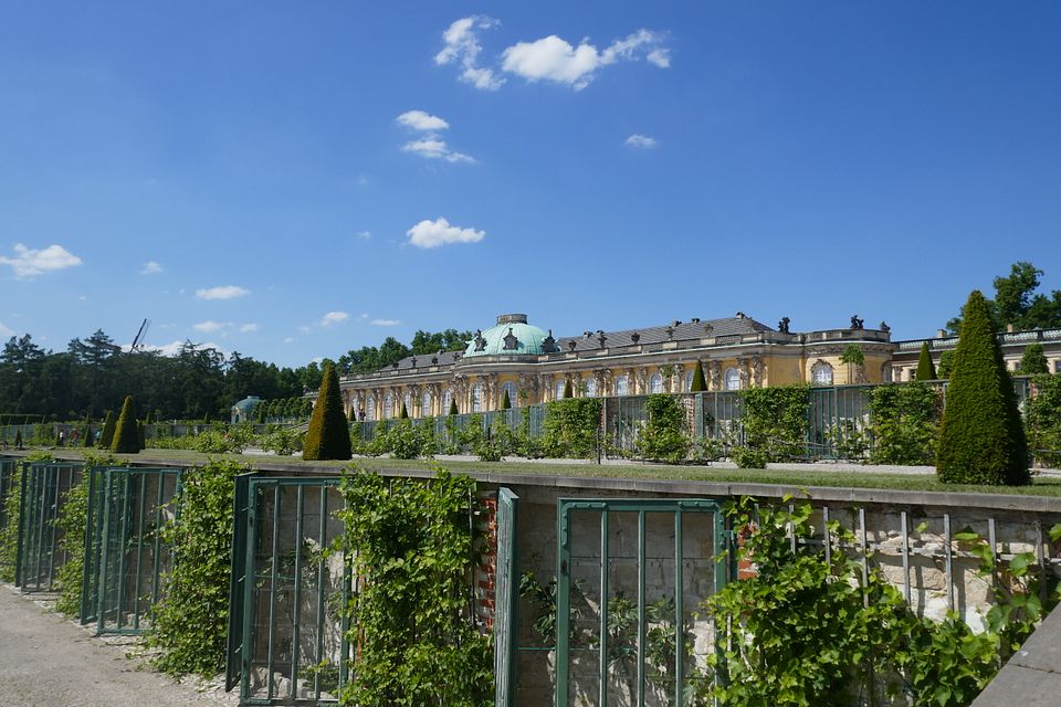 Sanssouci und Weinstöcke