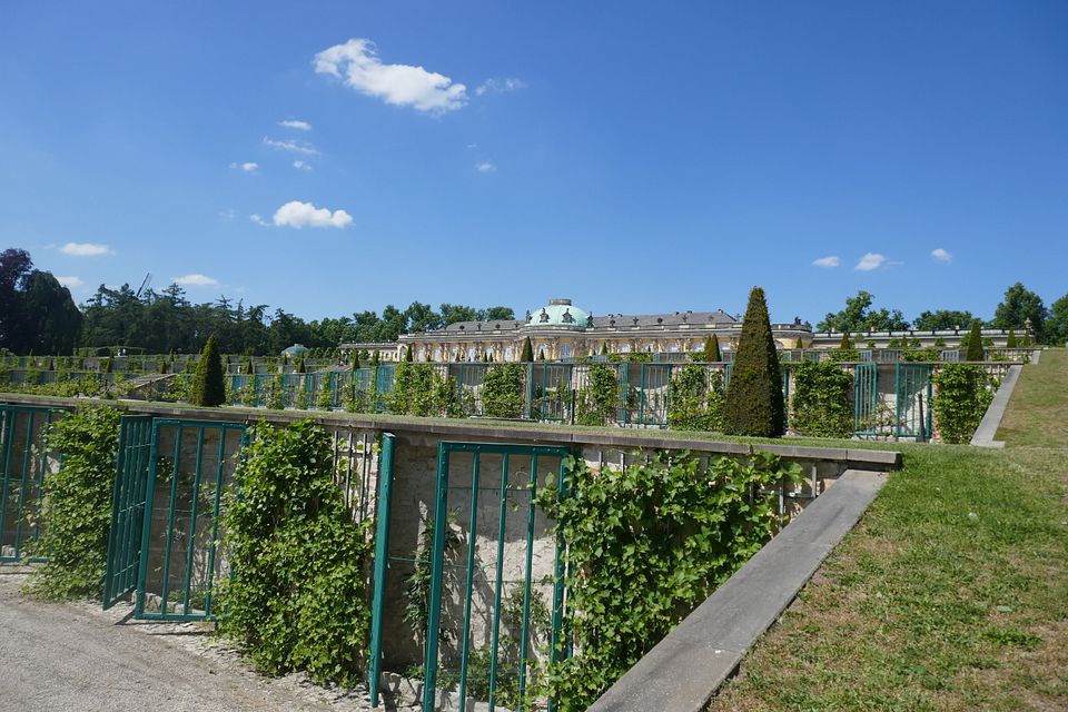 Sanssouci im Wein