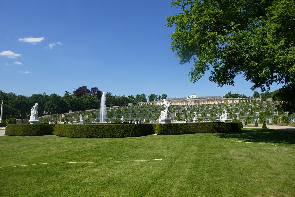 Sanssouci mit Baum und Hecken