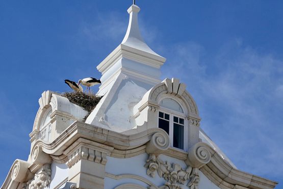 Storchpaar auf Barockhaus