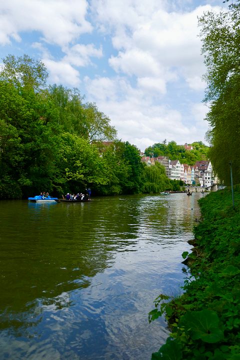 Neckar von Plantanenweg