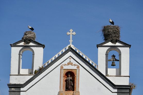 Störche auf Friedhofkirche - Detail