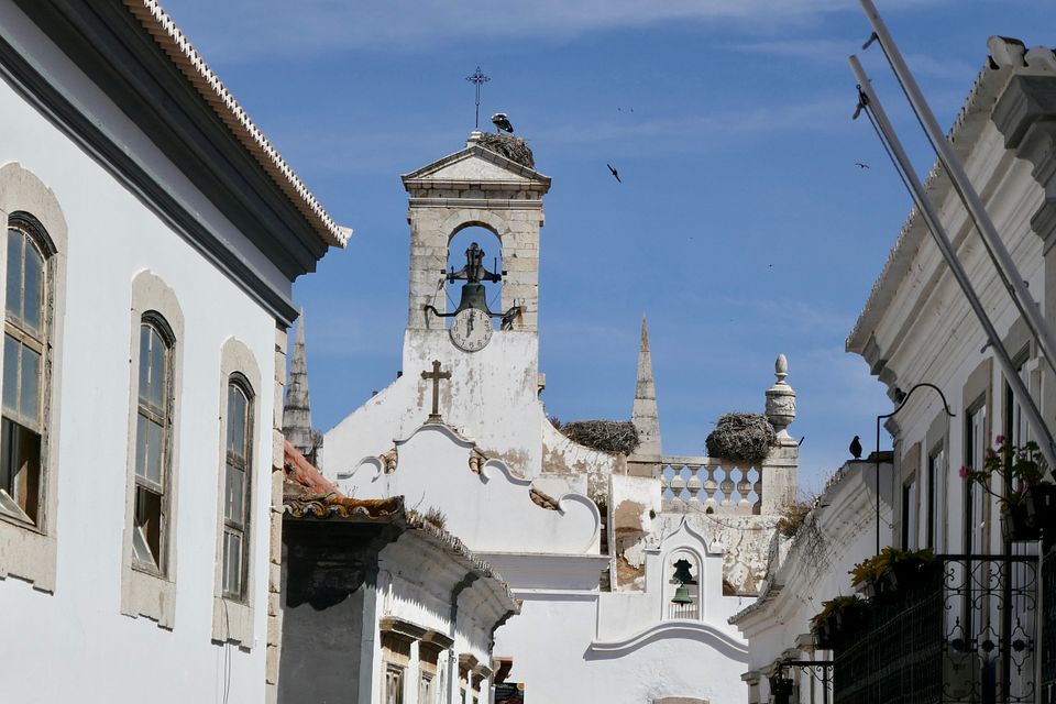 Störche auf Tor Rückseite