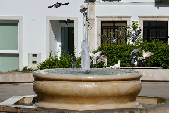 Brunnen und Tauben