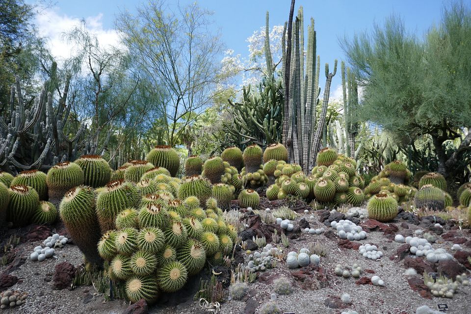 Schwiegermüttersessel