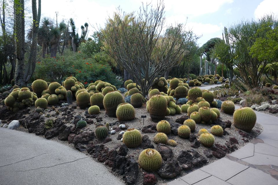 Mothers-in-law-seats