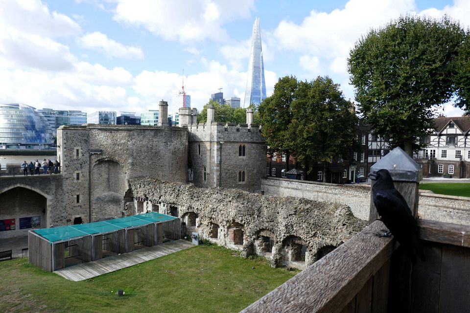 Rabe und Shard