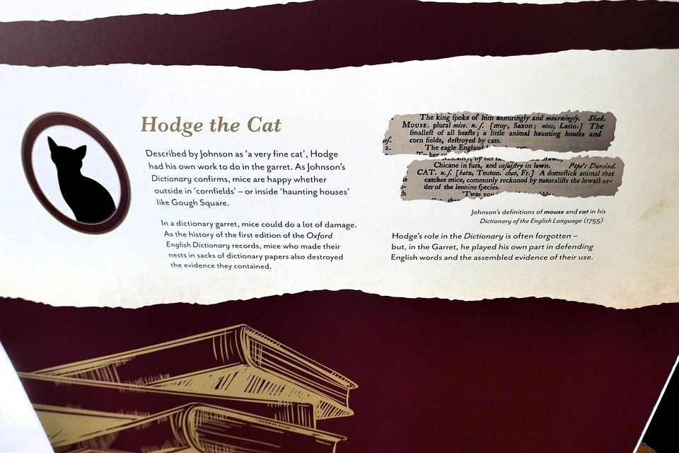 Hodge and Dictionary