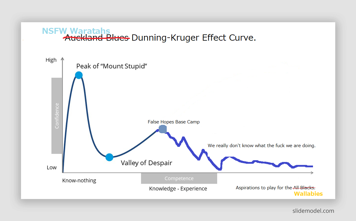 dunning-kruger-effect-curve(1).png