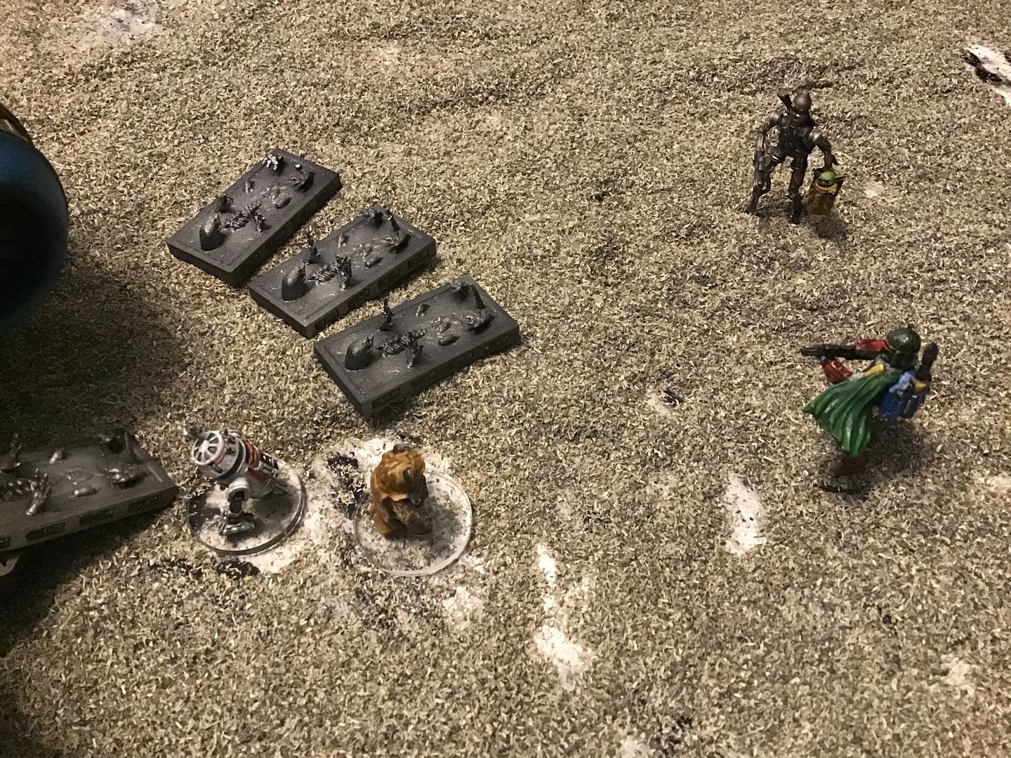 Thumper_(6).jpg?width=1920&height=1080&f