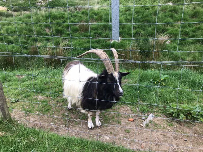 200029014_10159143893631006_1855122038851517589_n