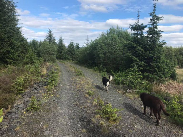 201058995_10159141461111006_2610906876270796817_n