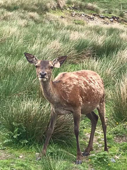 201516561_10159143893836006_2614838859159188702_n