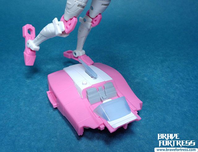 custom earthrise arcee