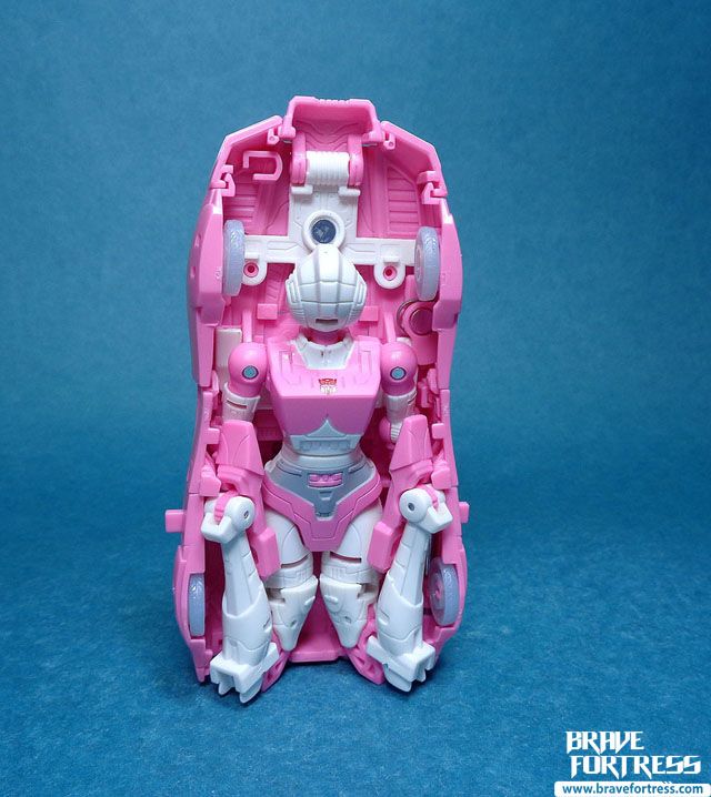 custom earthrise arcee