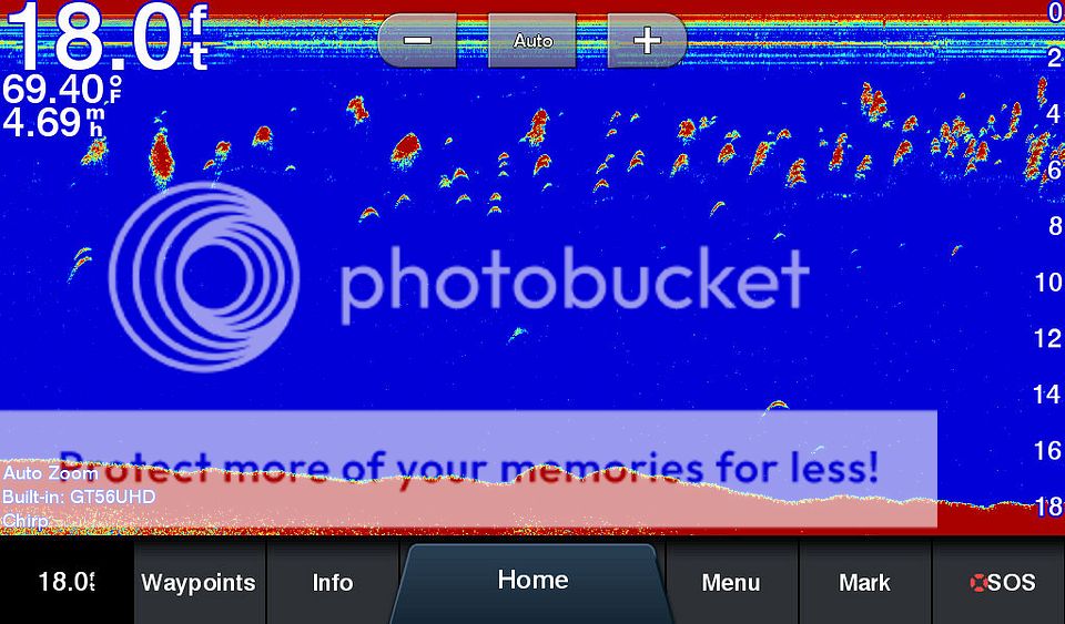 Garmin GT54UHD vs. GT 56UHD transducer? The Hull Truth Boating