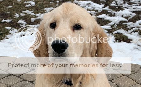 Photobucket - Video and Image Hosting