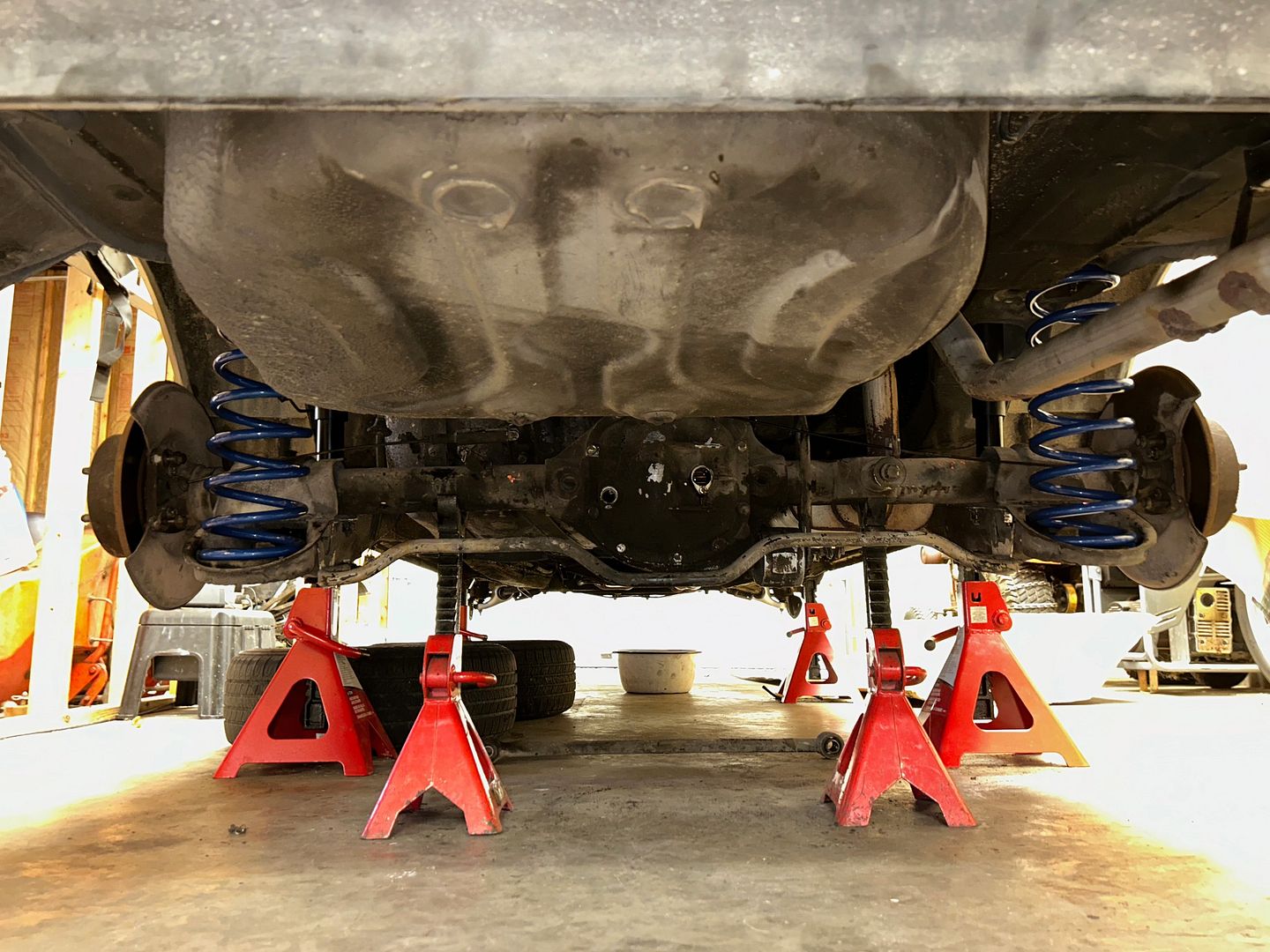 IMG_2810_jXUehqxnrQQ9eAYphpJqjV.jpg