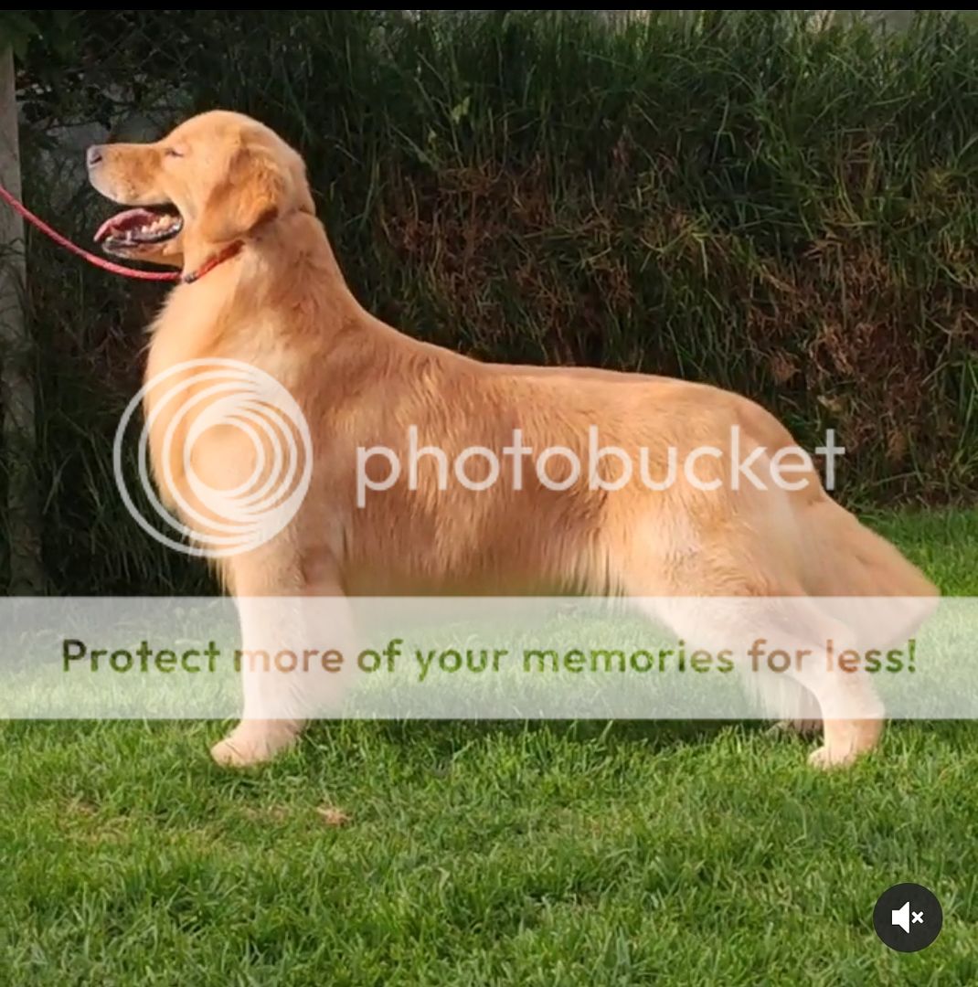 Photobucket - Video and Image Hosting