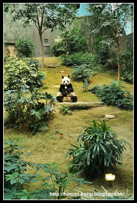 IMG_20201017_140604P04