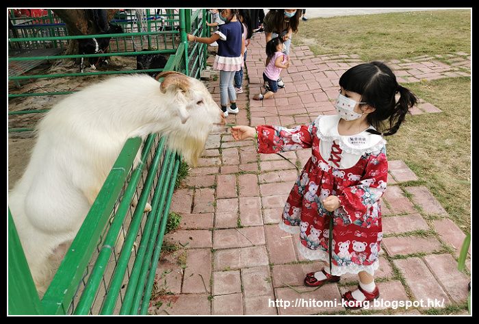 IMG_20201024_170109P08