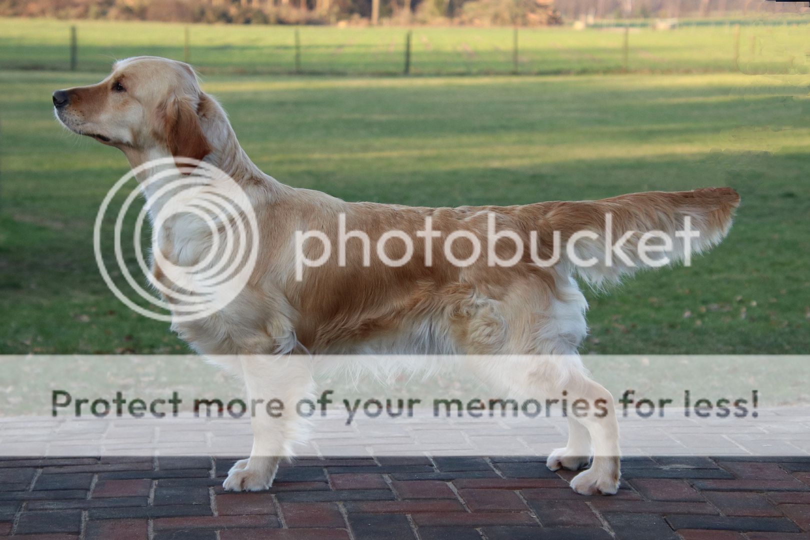 Photobucket - Video and Image Hosting