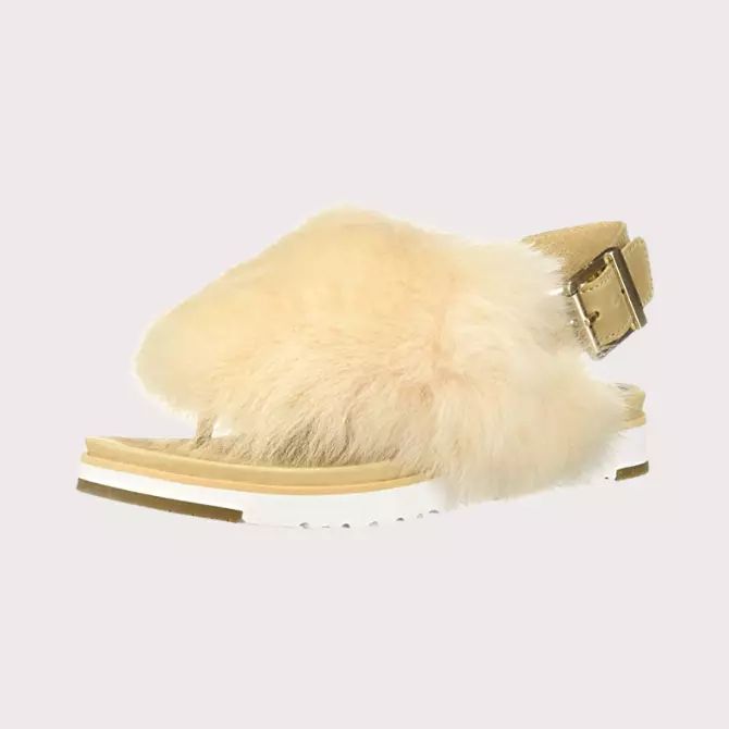 best-fur-slides