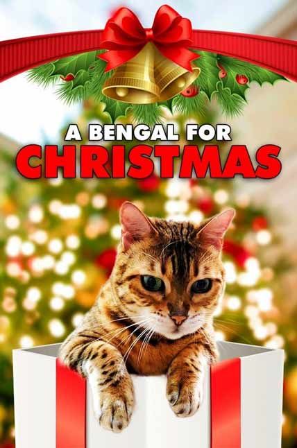 a bengal for christmas