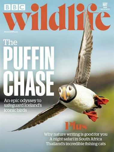 BBC Wildlife Magazine