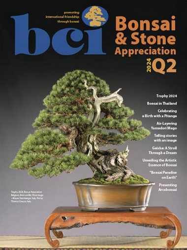 BCI Bonsai