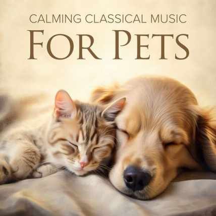 Music for Pets