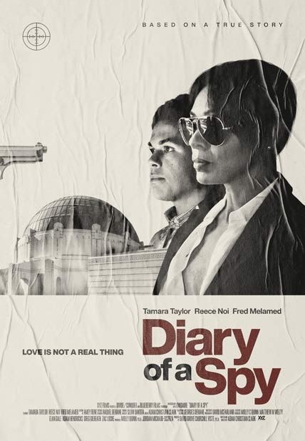 diary of a spy