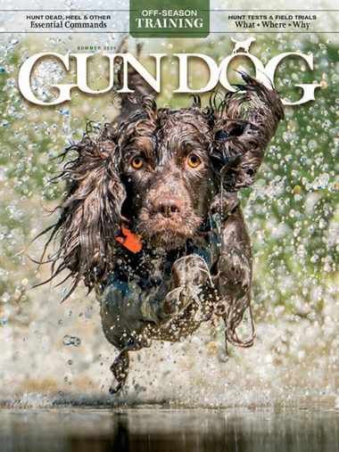 Gun Dog