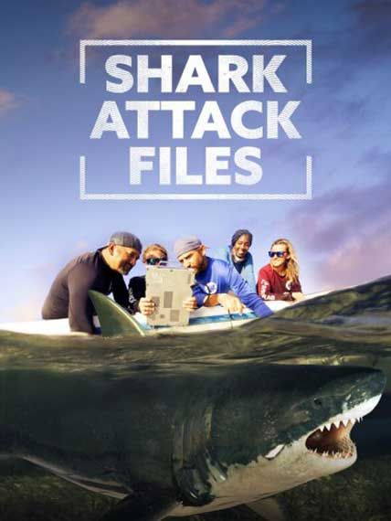 Shark Attack Files