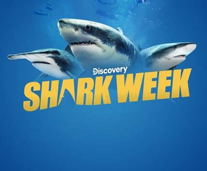 Shark Week 2021