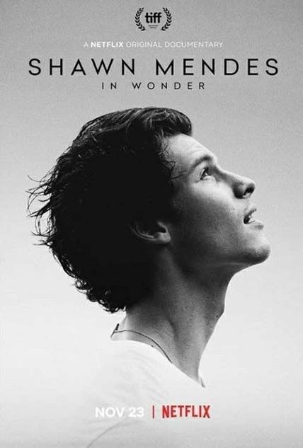 Shawn Mendes In Wonder