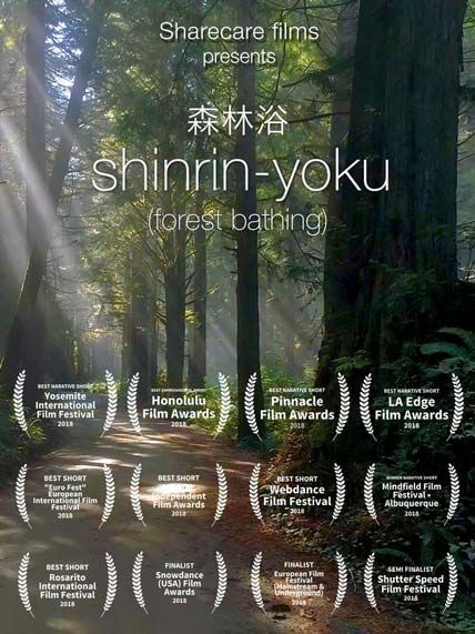 Shinrin-Yoku Forest Bathing