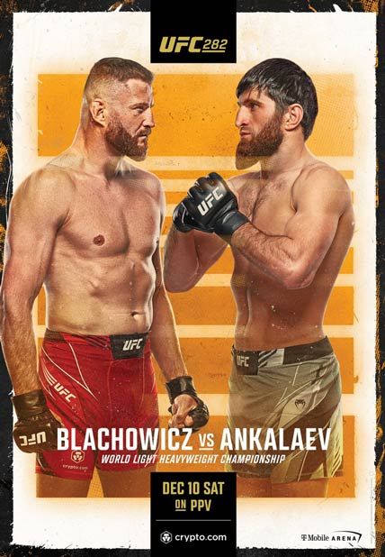 UFC 282