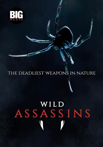 wild assassins
