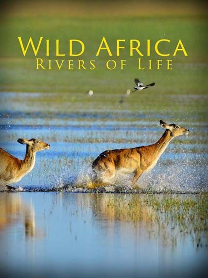 Wild Africa Rivers Of Life