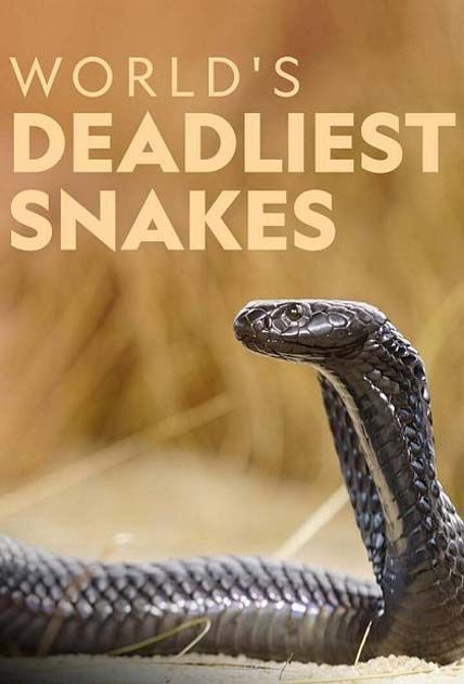 Worlds Deadliest Snakes