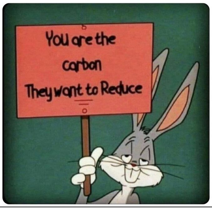 NY Times What If Every Warmist Practiced What They Preached? Pirate