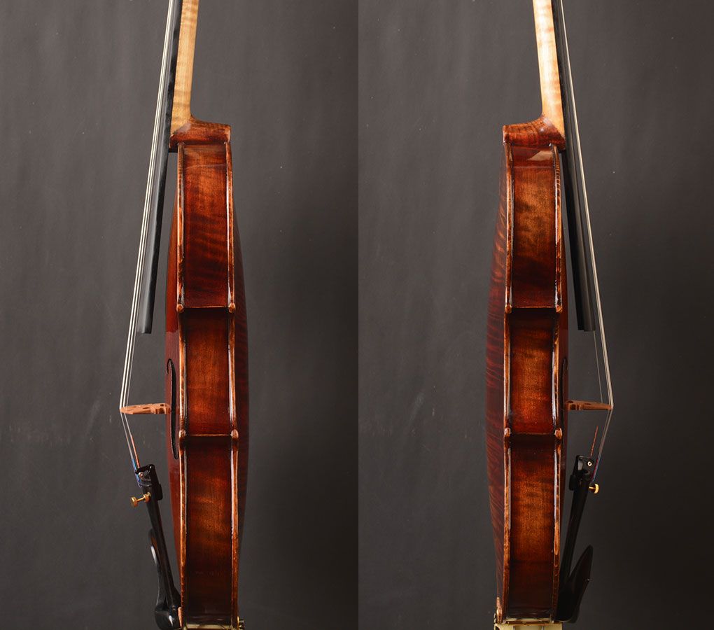 One piece back! Antonio Stradivari 1709 
