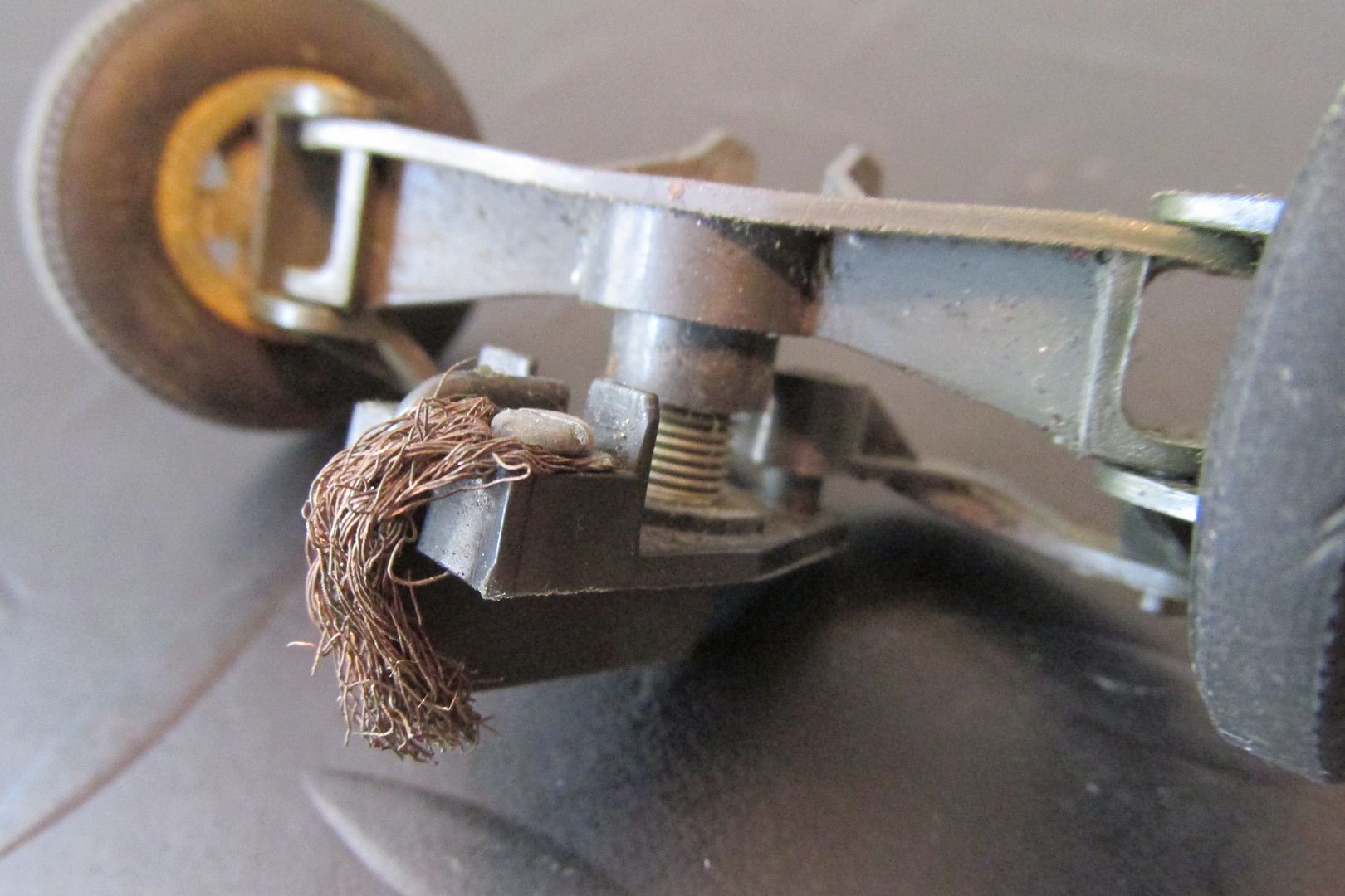 [Image: Ackerman_closeup.JPG?width=1920&height=1080&fit=bounds]