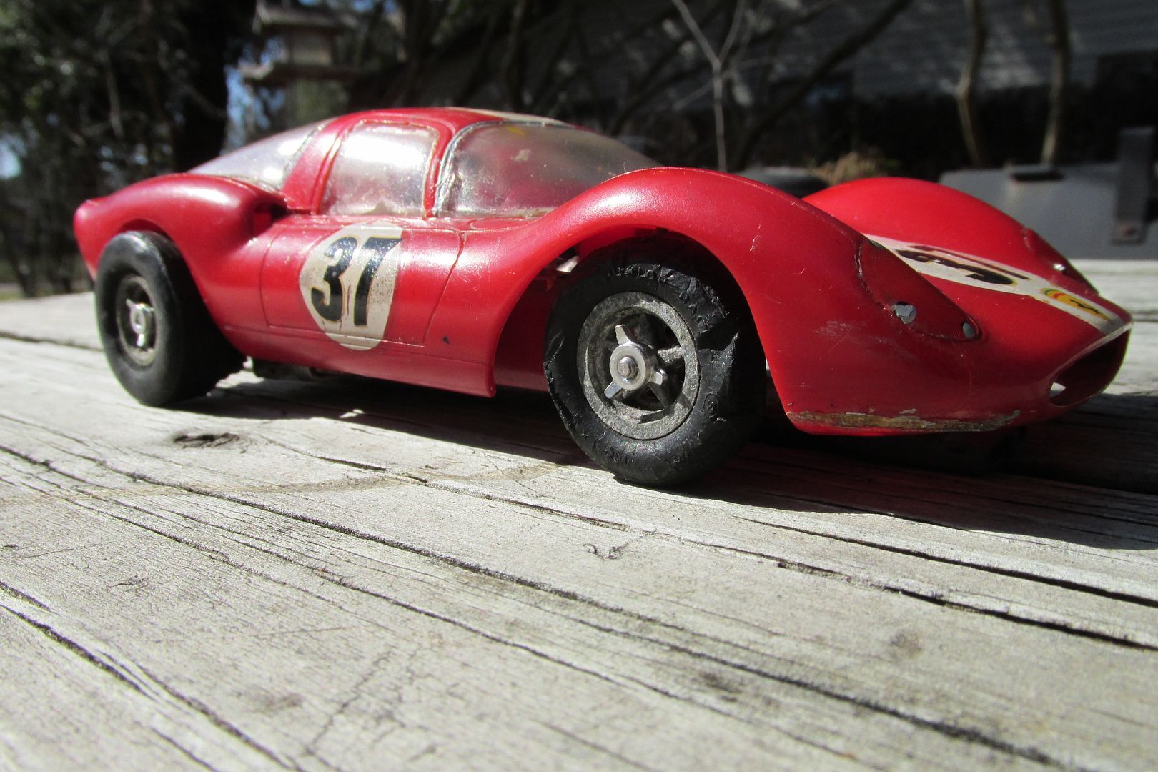 [Image: Dino_right_eye_level.JPG?width=1920&heig...fit=bounds]