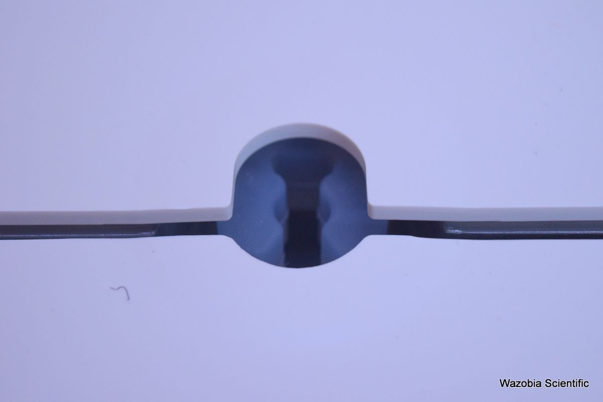 DSC_1455