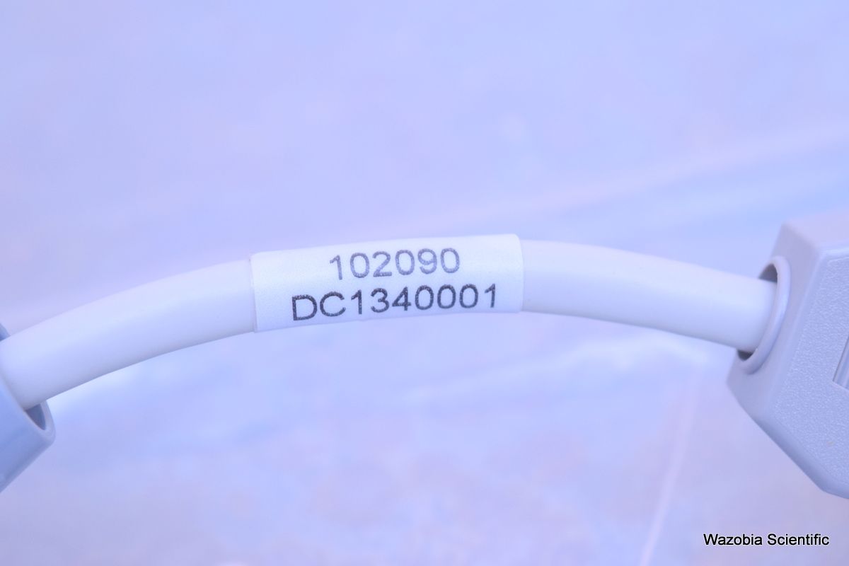 DSC_2823_avniTfThMK24MLhJSYkdQs