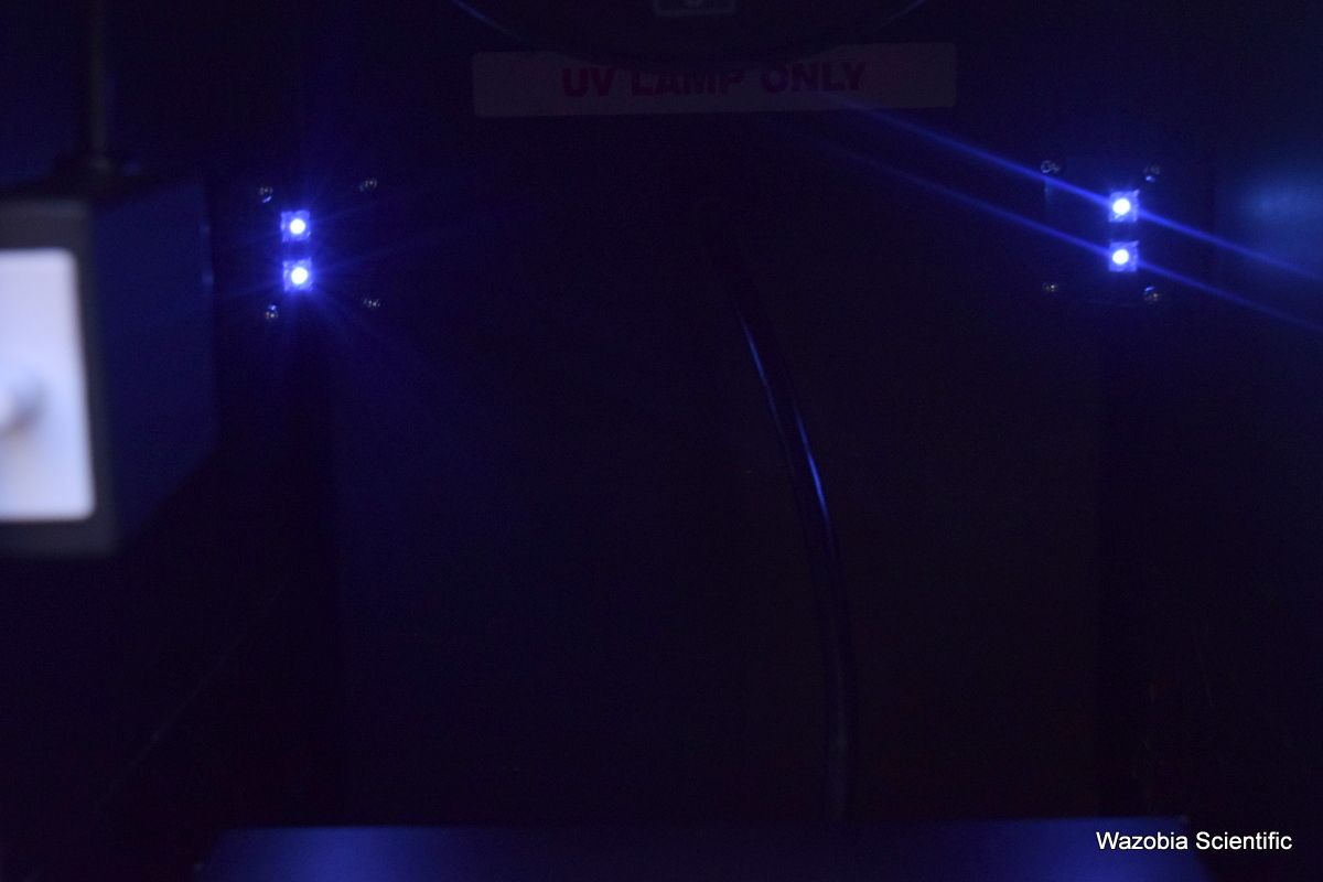 DSC_3416(5)