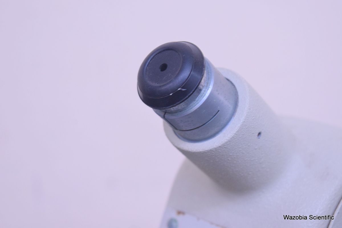 DSC_3564(5)