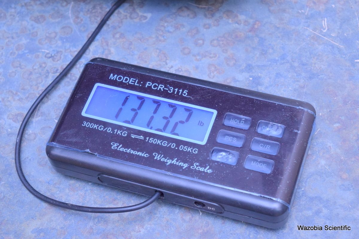 DSC_4162_pbXTq4E6SfLdRswWXfWvGk